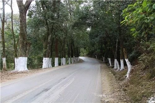文山公路局开展2018年公路养护管理综合目标责任考核
