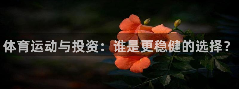 so米jrs直播体育平台直播