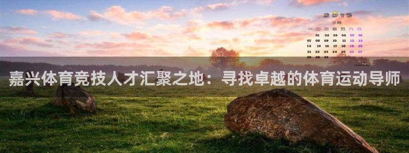 so米体育下载：嘉兴体育竞技人才汇聚之地：寻找卓越的体育运动导师