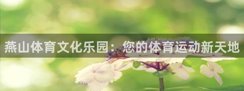 so米体育在线高清直播