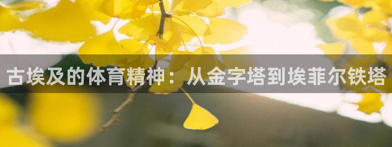 so米篮球直播