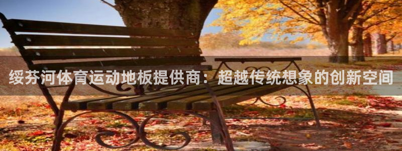 so米直播体育平台直播：绥芬河体育运动地板提供商：超越传统想象的创新空间