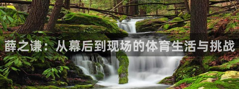 so米体育在线