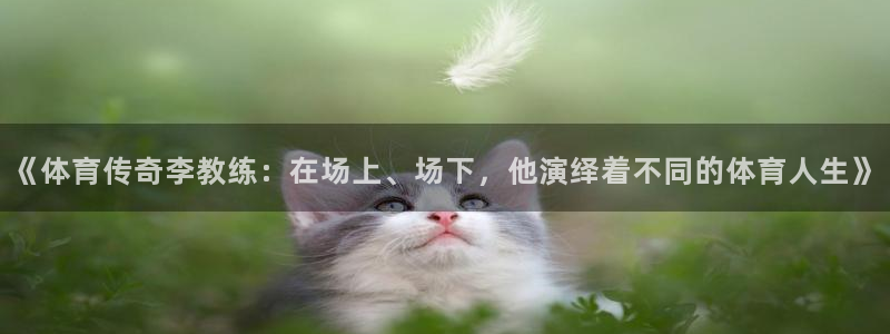 so米直播
